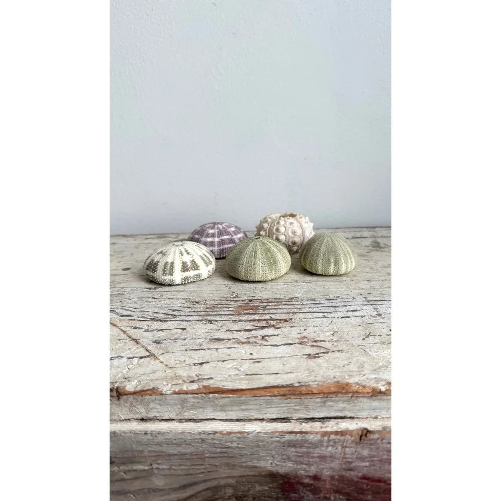 Unbranded set natural